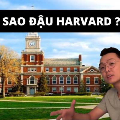 Chuyện Cô Học Trò Nghèo Đậu HARVARD - Hành Trình Săn Học Bổng & Chọn Trường